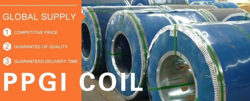 Color Coated Sheet in Coil, PPGI Prepainted Galvanized Steel Coil for Roofing