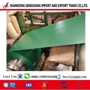 Prepainted Steel Coil /PPGL