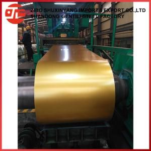 Best Quality Color Coated Galvanized Steel Coil PPGI PPGL