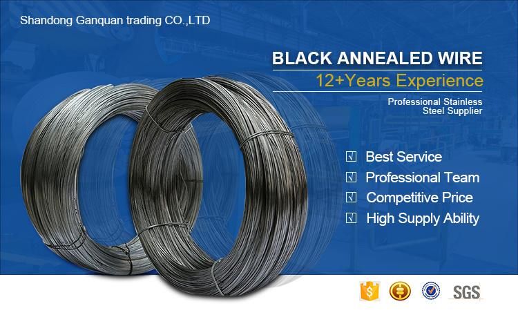 Factory China AISI 1060 Wire Steel Black Spring Wire 0.45mm 0.5mm for Making Insect Pins Wire