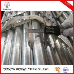 Scaffold Tubes Building Materia Galvanized Steel Pipe / Gi Tube A179 Standard