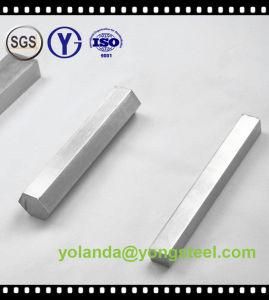 Hot Rolled Stainless Steel Square Bar for Shipbuilding (304L 316L)