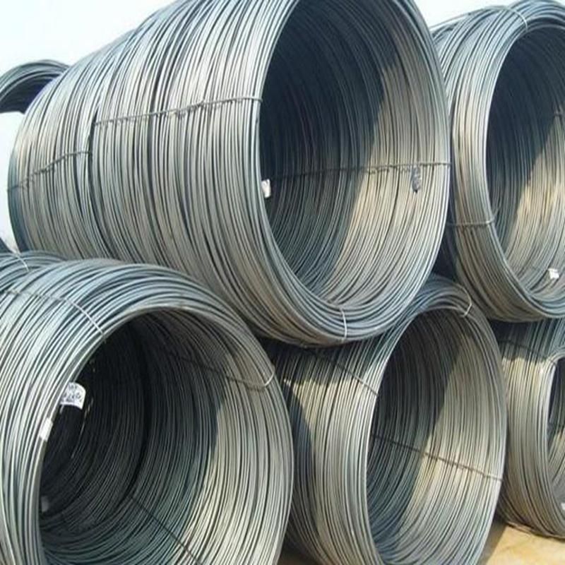 Professional Manufacturer SAE1008 SAE1006 Q215 High Tensile Strength Carbon Steel Wire Rod Coils for Building Material