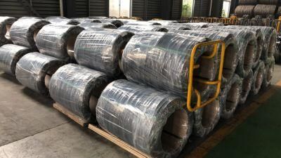 Q195 High Quality Steel Wire Black Annealed for Sale
