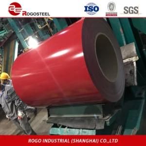 Color Coated Steel Coil for Foreign Country Business