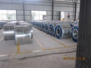 304 Stainless Steel Coil/Roll with High Quality