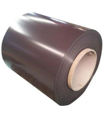 High Quality 0.6mm PPGI Zinc Steel Coil with All Thickness for Steel Material