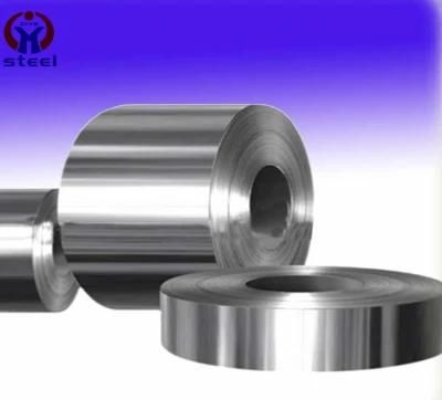 8 Feet Stainless Steel Coil Stick PVC Coating