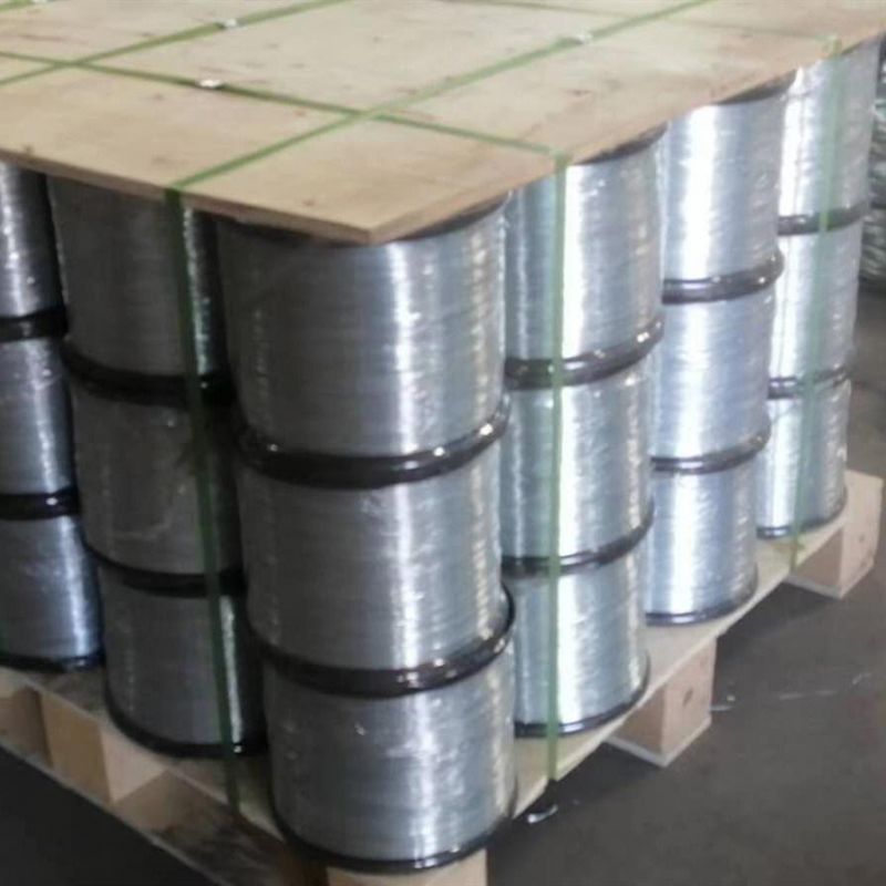 Electrical Galvanized and Hot DIP Galvanized Steel Wire for Face Mask