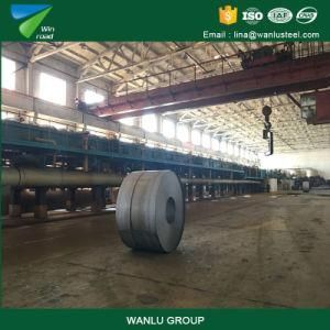 SPCC DC01 1000/1500mm Wide Carbon Cold Rolled Steel Coils