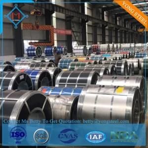 PPGI Prepainted Galvanized Steel Coil