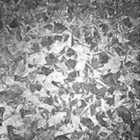 ASTM Dx51d Galvalume Galvanised Steel Coil with Az80 Coating