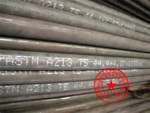 ASME SA-213t5 Alloy Steel Seamless Tube