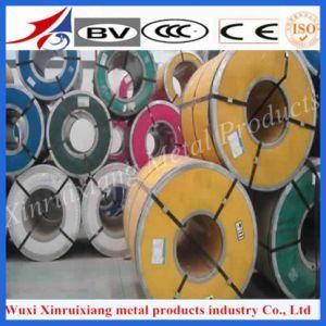 Hot Rolled &amp; Cold Rolled 304 Steel Coil