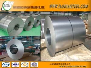 White Color and Other Color Coated Steel Coil for