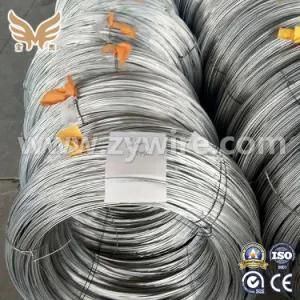 Hot DIP Binding Stainless High Low Carbon Galvanized Steel Wire for Building Material