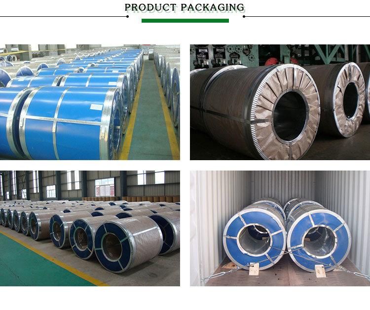 From Chinese Factory PPGI / Gi / Gl Galvanized Steel Coil