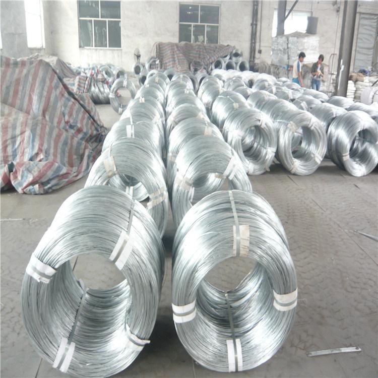 Galvanized Steel Wire Gi Wire Iron Steel Wire