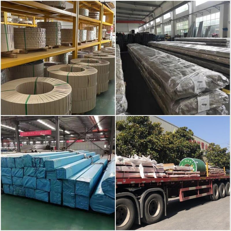 Factory Direct Price Standard Size Hot Cold Rolled Galvanised Coil Steel Hot Dipped Prepainted Galvanized Steel Coil