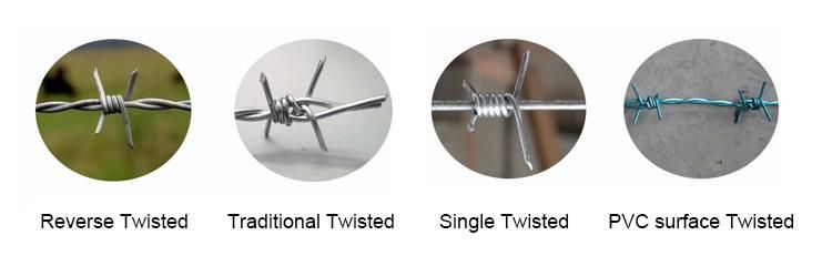Lowest Price Hot Dipped Galvanized Barbed Wire 14 Gauge Barbed Wire
