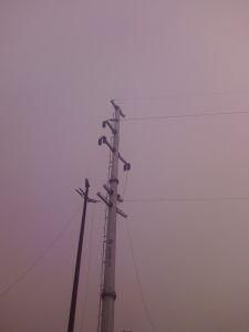 Cheap and Good Quality Electric Power Transmission Steel Pole
