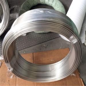 1mm Thick 317L Stainless Steel Capillary Tube for Experiment