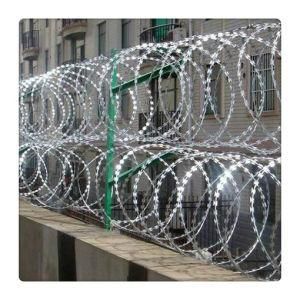 Galvanized Barbed Wire Coil/Barbed Iron Wire/Stainless Steel Barbed Wire Mesh