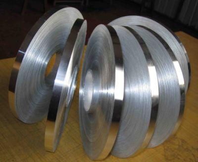 Cold Rolled Ss Strip Ba 2b 8K Mirror 201 304L 301 304 309S 310S 316 316L 410 420 430 440c 631 Stainless Steel Strip for Building Material