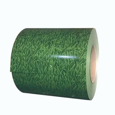 Prepainted Color Coated Galvanized Steel Coil PPGL PPGI