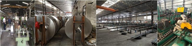 Stainless Steel Welded Ellipse Tube/Pipe