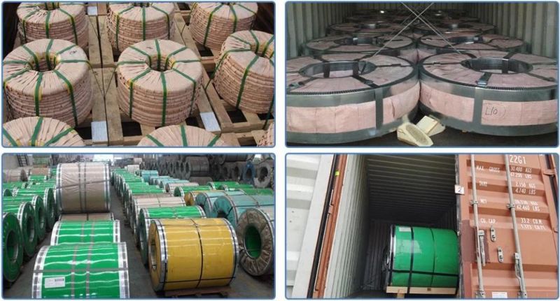 Tianjin Stainless Steel Coil, SUS 204 Stainless Steel Wire Coil