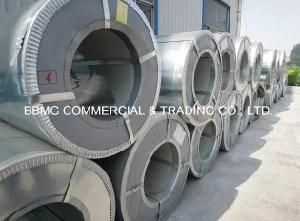 Hot Dipped Galvanized Steel Coil for Importing Building Material Dx51d, Gi, SGCC, ASTM653