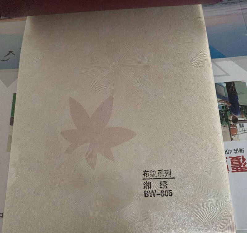 Qifan Prepainted Galvanized Coil/PPGI/Color Coated Steel Ston Pattern Factory