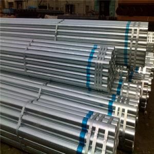 Galvanized Scaffolding Steel Pipe Steel Tube for Export
