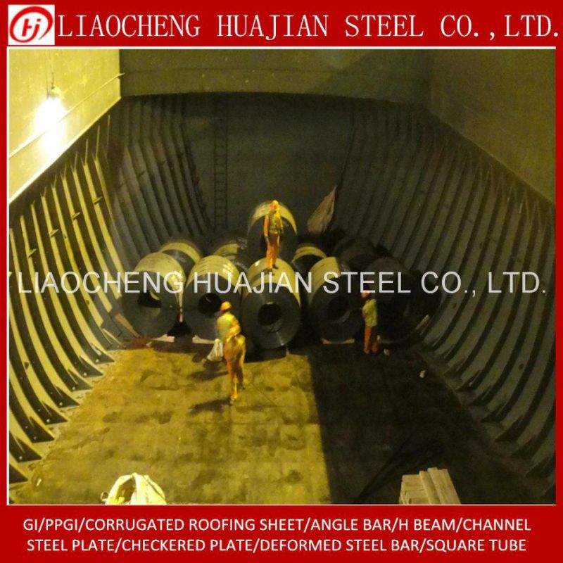 Hot Rolled Carbon Steel Coil for Building