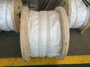 Stay Wire Strands Galvanized Steel Wire Strand for ASTM