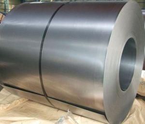 Ral Galvanized Steel Coil with Building Materials