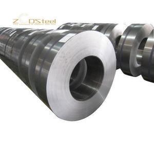 Hot/Cold Rolled Mirror Polished AISI SUS 201 304 304L 309 310S 321 430 Stainless Steel Strip