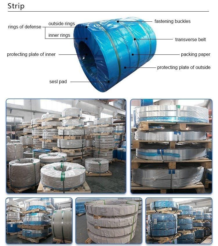 304/316L/310S Precision Stainless Steel Strip Stainless