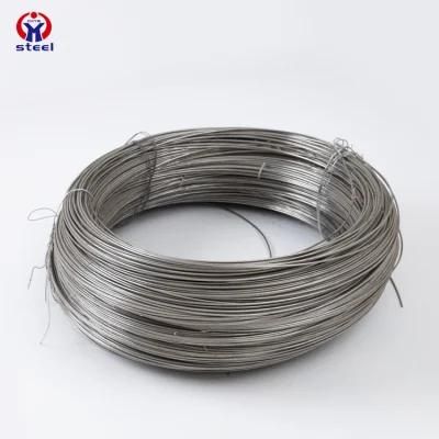 Galvanized Wire Steel Wire Spring Wire Stainless Steel Wire for Building