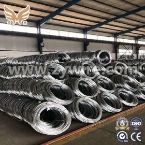 High Carbon Steel Wire Coil for Sale