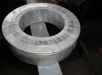 ASME B16.20 Stainless Steel 316L Graphite Spiral Wound Gasket