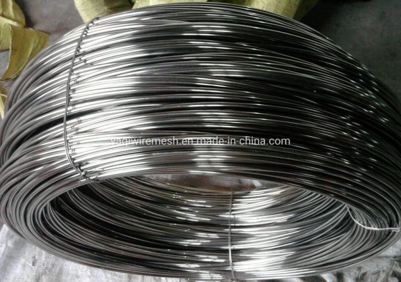 AISI 304 AISI 321 AISI 430 High Quality Stainless Steel Wire