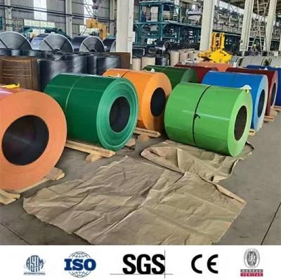 Dx52D Dx53D PPGI Prepainted Galvanized Steel Coil with 6 mm 10 mm