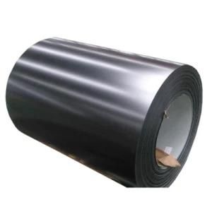 Professional Exporter of Prepainted Galvanized Steel Coil (PPGI) for Building Materials