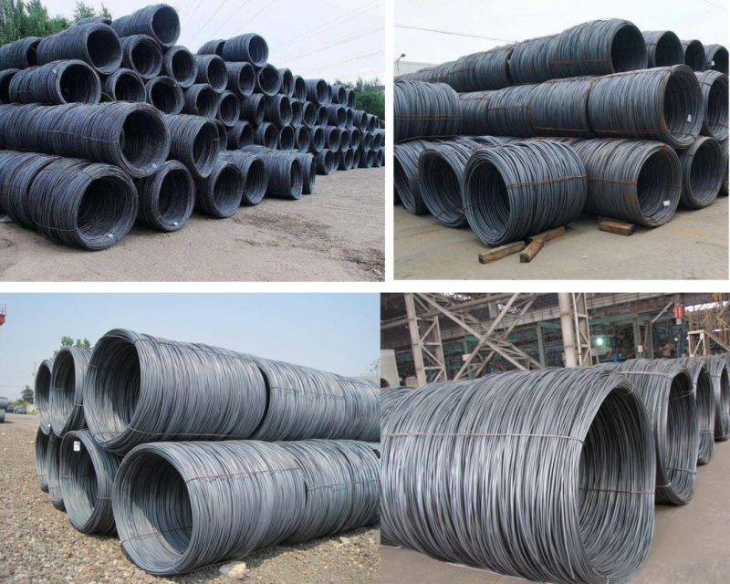 High Tensile Strength Professional Manufacturer SAE1008 / SAE1006 Q215 Q235 Carbon Steel Wire Rod Coils for Building Materials