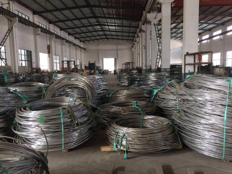 AISI 316 Stainless Steel Coil Tubing