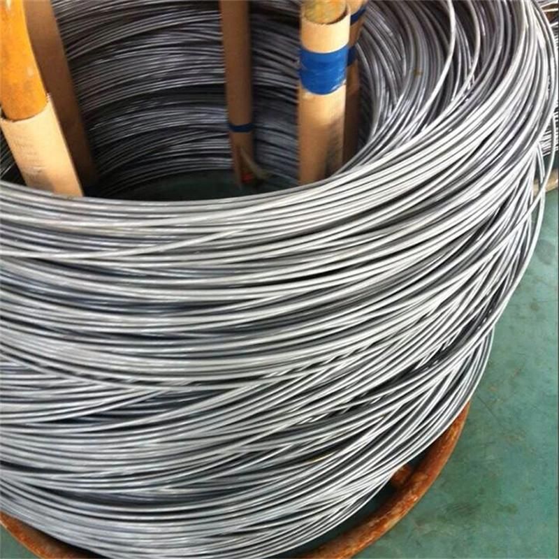 Stainless Steel Wire Rebar Wire ASTM A228 ASTM A313 Galvanized Iron Wire