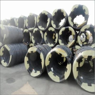 Hot Sell Helical Torsion Spring Steel Wire with ISO