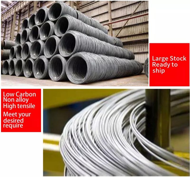 High Carbon Steel Wire/Spring Steel Wire/Galvanized Steel Wire/Stainless Steel Spring Wire /Steel Wire/PC Wire